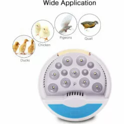 SUPERSELLER Couveuse Et Incubateur Pour Volaille Incubateur D'œufs Numérique Contrôle Automatique De La Température Lumière LED Pour Observer La Croissance 9 œufs Éclosoir Automatique De Volaille Pour Poulets Canards Pigeon Caille (220 V) - Prise UE -Poulailler et élevage de la basse-cour Soldes Magasin 53308250 5