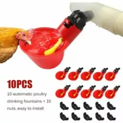 REGALOS 10 Coupes Automatiques Dabreuvoir De Poulet,mangeoire Dabreuvoir Automatique Doiseau De Poule De Poulet-équipement Dalimentation Dabreuvoir De Volaille Pour La Poule De Poulet Doiseau -Poulailler et élevage de la basse-cour Soldes Magasin 54079121 3