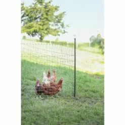 POULAILLER DIRECT Piquet Support Pour Filet Poule En Acier Galvanisé Avec Gaine Plastique 120cm - Kerbl -Poulailler et élevage de la basse-cour Soldes Magasin 54231148 5