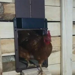 SUPERSELLER Capteurs De Lumière Ouvre-porte Automatique Poulailler Porte Magnétique Ménage Automatique Poulailler Ouvre-porte IP44 étanche - Marron - Marron -Poulailler et élevage de la basse-cour Soldes Magasin 54286758 4