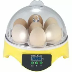 Mini Incubateur D'Oeufs En 15.5x 15.5 X15cm FUIENKO