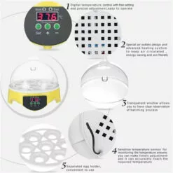 Mini Incubateur D'Oeufs En 15.5x 15.5 X15cm FUIENKO 6 Mini Incubateur D'Oeufs En 15.5x 15.5 X15cm FUIENKO -Poulailler et élevage de la basse-cour Soldes Magasin 54329701 3