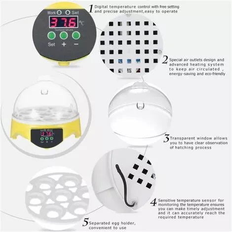 Mini Incubateur D'Oeufs En 15.5x 15.5 X15cm FUIENKO 3 Mini Incubateur D'Oeufs En 15.5x 15.5 X15cm FUIENKO – Image 3