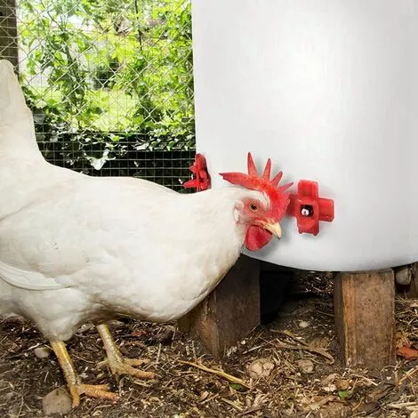 TINOR Lot De 10 Mamelons D'eau Mangeoire à Poulet Fournitures De Volaille Croix De Poule 4 TINOR Lot De 10 Mamelons D'eau Mangeoire à Poulet Fournitures De Volaille Croix De Poule – Image 4