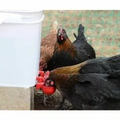 TINOR Lot De 2 Distributeurs D'eau Automatiques Pour Volaille 7 TINOR Lot De 2 Distributeurs D'eau Automatiques Pour Volaille -Poulailler et élevage de la basse-cour Soldes Magasin 54847750 3