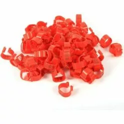 TINOR 100Pcs Bagues/Anneaux De Pied Plastique Pour Oiseaux/Pigeon 18MM Pour Poulets Canards Poules Poulets Volaille Pour Colombe Poules Poule Perroquet Oiseaux Identification(Red) 7 TINOR 100Pcs Bagues/Anneaux De Pied Plastique Pour Oiseaux/Pigeon 18MM Pour Poulets Canards Poules Poulets Volaille Pour Colombe Poules Poule Perroquet Oiseaux Identification(Red) -Poulailler et élevage de la basse-cour Soldes Magasin 54847779 3
