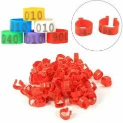TINOR 100Pcs Bagues/Anneaux De Pied Plastique Pour Oiseaux/Pigeon 18MM Pour Poulets Canards Poules Poulets Volaille Pour Colombe Poules Poule Perroquet Oiseaux Identification(Red) 9 TINOR 100Pcs Bagues/Anneaux De Pied Plastique Pour Oiseaux/Pigeon 18MM Pour Poulets Canards Poules Poulets Volaille Pour Colombe Poules Poule Perroquet Oiseaux Identification(Red) -Poulailler et élevage de la basse-cour Soldes Magasin 54847779 5