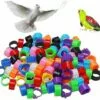 100 Pcs Bague Pour Pied D’Oiseaux Anneaux Pour Pied D'oiseau Jambe D'Anneau D'oiseau Anneaux De Pied Pour Perroquet, Pour Identification Oiseaux Pigeon Poulet Canard Volaille(Multicolor)，Starlight