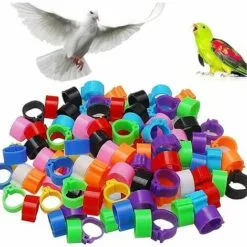 100 Pcs Bague Pour Pied D’Oiseaux Anneaux Pour Pied D'oiseau Jambe D'Anneau D'oiseau Anneaux De Pied Pour Perroquet, Pour Identification Oiseaux Pigeon Poulet Canard Volaille(Multicolor),Starlight