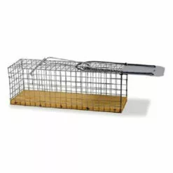 Gaun Cage Petites Souris