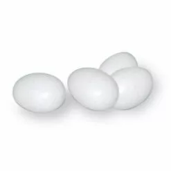 GAUN Poulets D'oeufs En Plastique, 1 Unit_