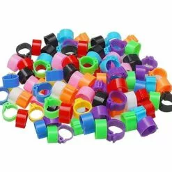 ROSIER 100 Pièces Bague Pour Pied D’Oiseaux Anneau D'Identification En Plastique Pigeon Bague 8mm Anneaux De Pied Pour Oiseaux Pour Marquage Fermes Élevage Depoussins De Caille De Perroquet Oiseaux Volailles,VEBTles