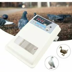GOJOY Couveuse Automatique De 24 œufs De Poules à Affichage Digital De La Température 39 * 25 * 13 Cm Incubateur Automatique Mini Pour Couver Poule Canard Caille œufs De Canard -Poulailler et élevage de la basse-cour Soldes Magasin 57331724 3
