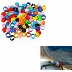 MACARON Couleurs Mélangées Bague Pour Pied D’oiseaux Bague Plastique Pour Pigeon Poussin Bantam Petit Volaille 100 Pcs LO-Ron -Poulailler et élevage de la basse-cour Soldes Magasin 57779706 4