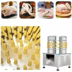 MACARON Caoutchouc Volaille Plumer Les Doigts Bâton D'enlèvement De Plumes De Cheveux De Remplacement Pour Poulet / Canards / Poulet / Pigeon LO-Ron 9 MACARON Caoutchouc Volaille Plumer Les Doigts Bâton D'enlèvement De Plumes De Cheveux De Remplacement Pour Poulet / Canards / Poulet / Pigeon LO-Ron -Poulailler et élevage de la basse-cour Soldes Magasin 57779724 5