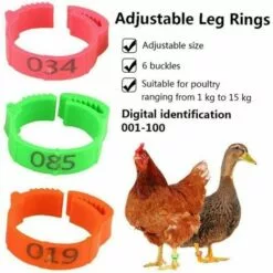 MACARON Poulet Taille De L'anneau Réglable Volaille Jambe Étiquette Numérique Boucle Bague Pour Canard Volaille Poulet Fournitures Agricoles 100 Pièces LO-Ron -Poulailler et élevage de la basse-cour Soldes Magasin 57779731 3