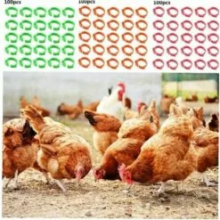 MACARON Poulet Taille De L'anneau Réglable Volaille Jambe Étiquette Numérique Boucle Bague Pour Canard Volaille Poulet Fournitures Agricoles 100 Pièces LO-Ron -Poulailler et élevage de la basse-cour Soldes Magasin 57779731 5