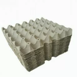 Thsinde Collier De Poulet Anti Crochet Collier De Coq Collier Coq Collier Poulet Réglable Empêche Les Poulets De Crier Dérangeant Les Voisins Collier Collier Pour Coq--rouge Cinq Paires