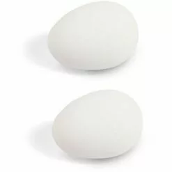 CYCLINGCOLORS 2x œuf De Poule Factice En Argile Identique Et Taille Réelle Poulailler Ponte Faux œufs