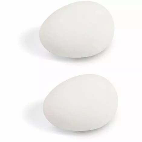 CYCLINGCOLORS 2x œuf De Poule Factice En Argile Identique Et Taille Réelle Poulailler Ponte Faux œufs 1 CYCLINGCOLORS 2x œuf De Poule Factice En Argile Identique Et Taille Réelle Poulailler Ponte Faux œufs