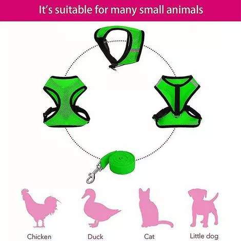Ensoleillé Harnais De Poulet Réglable Avec Laisse - Gilet De Poule Confortable En Maille Respirante 2 Ensoleillé Harnais De Poulet Réglable Avec Laisse - Gilet De Poule Confortable En Maille Respirante – Image 2