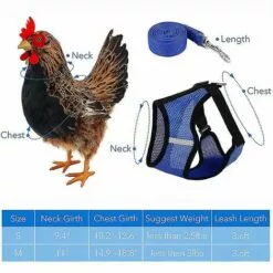 Ensoleillé Harnais De Poulet Réglable Avec Laisse - Gilet De Poule Confortable En Maille Respirante 5 Ensoleillé Harnais De Poulet Réglable Avec Laisse - Gilet De Poule Confortable En Maille Respirante -Poulailler et élevage de la basse-cour Soldes Magasin 58658479 3