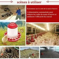 TINOR Farming Mangeoire Poule Volaille Anti Gaspillage 3 Kg 9 TINOR Farming Mangeoire Poule Volaille Anti Gaspillage 3 Kg -Poulailler et élevage de la basse-cour Soldes Magasin 58831688 5