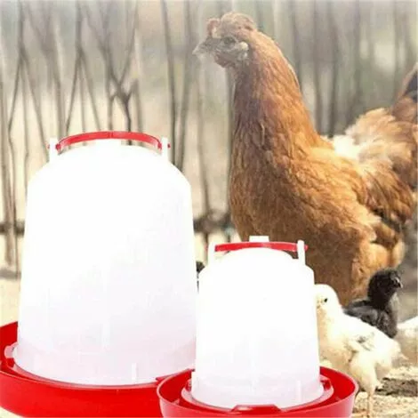 EINEMGELD Abreuvoir à Poulet En Plastique Abreuvoir Mangeoire Avec Manipulez Les Outils D'alimentation En Eau Pour Poule Poule Caille Bantam 1kg 2 EINEMGELD Abreuvoir à Poulet En Plastique Abreuvoir Mangeoire Avec Manipulez Les Outils D'alimentation En Eau Pour Poule Poule Caille Bantam 1kg – Image 2