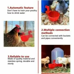 LTS FAFA 6pcs Automatiques Supplies Abreuvoir Poules Tasses à Bol Bol En Plastique, Volailles Distributeurs D'eau Automatique De L'eau Potable Tasses Pour Poussins Cailles Canards Bird -Poulailler et élevage de la basse-cour Soldes Magasin 59304314 3