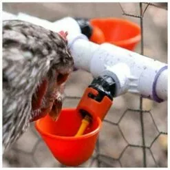 STARLIGHT Ferme Automatique Abreuvoir De Poulet Tasses Volaille Potable Oiseau Abreuvoir Coop Oiseau Abreuvoir (Rouge (12 Pcs),STAR.L -Poulailler et élevage de la basse-cour Soldes Magasin 60065131 5