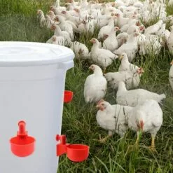 HEGUYEY 12pcs 3/8 Pouces Abreuvoirs Automatiques, Abreuvoir Poulet Abreuvoir Automatique Poule Tasse D'Abreuvoir De Poulet Mangeoire D'eau De Poulet Pour Poulet Canards Oiseaux Dindes -Poulailler et élevage de la basse-cour Soldes Magasin 60159659 5
