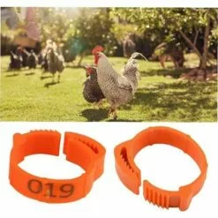 ROSIER 100 Pièces De Poulet Taille De L'anneau Réglable Volaille Jambe Numérique Étiquette Boucle Bague Pour Poulet Canard Volaille Fournitures Ferme (rouge, Lettrage)——VEBTles -Poulailler et élevage de la basse-cour Soldes Magasin 60186305 3