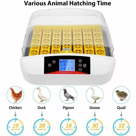 BAMNY Incubateur Entièrement Automatique 55 œufs Couveuse Numérique Avec Rotation Automatique Des œufs Et Contrôle De La Température Et De L'humidité Pour Poules, Canards, Cailles, Oies, œufs à Poulet 2 BAMNY Incubateur Entièrement Automatique 55 œufs Couveuse Numérique Avec Rotation Automatique Des œufs Et Contrôle De La Température Et De L'humidité Pour Poules, Canards, Cailles, Oies, œufs à Poulet – Image 2