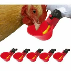 DENUOTOP Volaille Automatique Abreuvoir,6 PCS Buveur De Volaille,Poulet Abreuvoir D'eau,Buveurs Automatiques Abreuvoirs En Plastique Rouge Backyards Canard Oiseau Caille Pigeon Poule Alimentation D'eau Bol