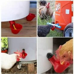DENUOTOP Volaille Automatique Abreuvoir,6 PCS Buveur De Volaille,Poulet Abreuvoir D'eau,Buveurs Automatiques Abreuvoirs En Plastique Rouge Backyards Canard Oiseau Caille Pigeon Poule Alimentation D'eau Bol 7 DENUOTOP Volaille Automatique Abreuvoir,6 PCS Buveur De Volaille,Poulet Abreuvoir D'eau,Buveurs Automatiques Abreuvoirs En Plastique Rouge Backyards Canard Oiseau Caille Pigeon Poule Alimentation D'eau Bol -Poulailler et élevage de la basse-cour Soldes Magasin 60483620 3