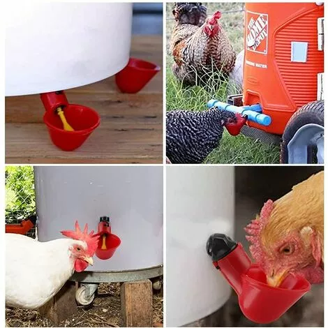 DENUOTOP Volaille Automatique Abreuvoir,6 PCS Buveur De Volaille,Poulet Abreuvoir D'eau,Buveurs Automatiques Abreuvoirs En Plastique Rouge Backyards Canard Oiseau Caille Pigeon Poule Alimentation D'eau Bol 3 DENUOTOP Volaille Automatique Abreuvoir,6 PCS Buveur De Volaille,Poulet Abreuvoir D'eau,Buveurs Automatiques Abreuvoirs En Plastique Rouge Backyards Canard Oiseau Caille Pigeon Poule Alimentation D'eau Bol – Image 3