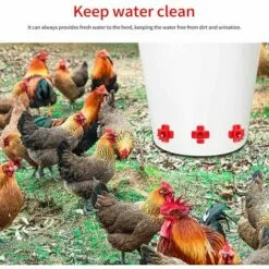 Yoouyida à Eau De Volaille, Abreuvoir Automatique Pour Tétine De Poulet Avec Montage Latéral Horizontal, Abreuvoir Pour Poulets Deau, Lot De 12 -Poulailler et élevage de la basse-cour Soldes Magasin 60652207 5