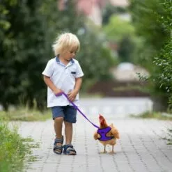 STARLIGHT 2 Pièces Harnais De Poulet Set, SL.GT Laisse Pour Poule Réglable, Harnais Respirant Chiot, Ajustable Harnet Petit Animal, Harnai Poulet Anti Traction -Poulailler et élevage de la basse-cour Soldes Magasin 60885557 4