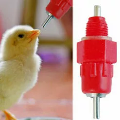 SLI-RES Tetine Abreuvoir Poules Tetine Automatique Pour Poule Volaille Poulet Canard Distributeur D'eau Le Style Vis à Vis élevage Alimentation Du Bétail Abreuver équipement 5.2*1.5cm (Rouge) 6 Pcs，Lilaris -Poulailler et élevage de la basse-cour Soldes Magasin 61346378 3