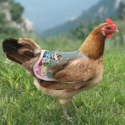 SLI-RES Tablier Poulet Selle Volaille, Selle De Poulet Poule Tablier De Poulet Pour Poule De Volaille Protecteur Dorsal D'Aile Pour Volaille Gilets De SéCurité Pour Poulet Pour Petits Animaux Volaille 21*18*0.3cm (Mélanger) 2 Pcs，Lilaris -Poulailler et élevage de la basse-cour Soldes Magasin 61346394 3