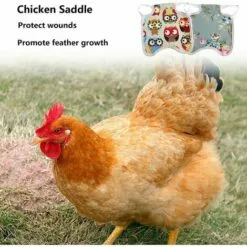 SLI-RES Tablier Poulet Selle Volaille, Selle De Poulet Poule Tablier De Poulet Pour Poule De Volaille Protecteur Dorsal D'Aile Pour Volaille Gilets De SéCurité Pour Poulet Pour Petits Animaux Volaille 21*18*0.3cm (Mélanger) 2 Pcs，Lilaris -Poulailler et élevage de la basse-cour Soldes Magasin 61346394 4