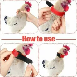 REGALI 4 Pièces Colliers De Poulet Colliers De Coq Colliers De Poulet Réglables Empêchent Les Poulets Hurlants D'ennuyer Les Voisins -Poulailler et élevage de la basse-cour Soldes Magasin 61580780 4