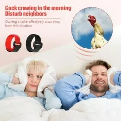 REGALI 4 Pièces Colliers De Poulet Colliers De Coq Colliers De Poulet Réglables Empêchent Les Poulets Hurlants D'ennuyer Les Voisins -Poulailler et élevage de la basse-cour Soldes Magasin 61580780 5