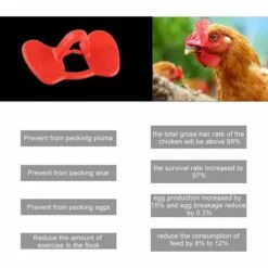 REGALOS 50 Pcs Lunettes De Poulet​, Pas De Lunettes De Poulet à Boulonner, Les Lunettes Anti-picage Des Poulets équipement Agricole Rouge -Poulailler et élevage de la basse-cour Soldes Magasin 61583592 5