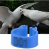 GESCHENKE 100 Pièces Anneaux De Poule, Anneaux D'Oiseau Anneaux De Pigeon De Volaille En Plastique Pour Poussins Canards (Bleu)