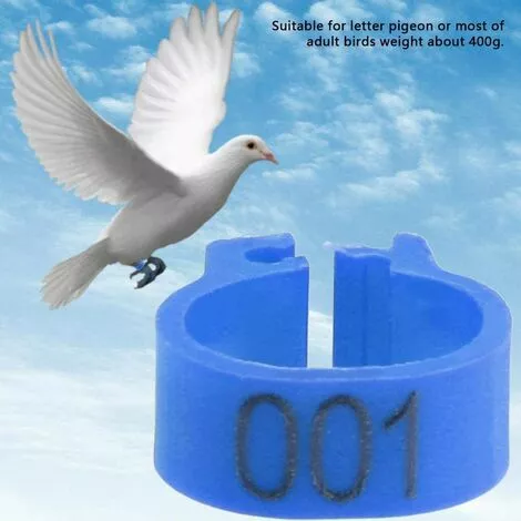 GESCHENKE 100 Pièces Anneaux De Poule, Anneaux D'Oiseau Anneaux De Pigeon De Volaille En Plastique Pour Poussins Canards (Bleu) 3 GESCHENKE 100 Pièces Anneaux De Poule, Anneaux D'Oiseau Anneaux De Pigeon De Volaille En Plastique Pour Poussins Canards (Bleu) – Image 3