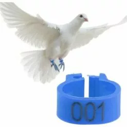 GESCHENKE 100 Pièces Anneaux De Poule, Anneaux D'Oiseau Anneaux De Pigeon De Volaille En Plastique Pour Poussins Canards (Bleu) 8 GESCHENKE 100 Pièces Anneaux De Poule, Anneaux D'Oiseau Anneaux De Pigeon De Volaille En Plastique Pour Poussins Canards (Bleu) -Poulailler et élevage de la basse-cour Soldes Magasin 61583594 4