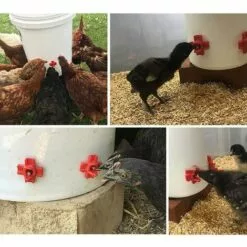 REGALOS 10 Pièces Abreuvoir De Poulet En Plastique Et En Acier Inoxydable 304 Abreuvoir Automatique De Mamelon De Poulet 32.5x34mm Abreuvoir D'oie De Poulet -Poulailler et élevage de la basse-cour Soldes Magasin 61660397 4