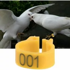 REGALOS 100 Pièces Anneaux De Poule, Anneaux D'Oiseau Anneaux De Pigeon De Volaille En Plastique Pour Poussins Canards (Jaune) -Poulailler et élevage de la basse-cour Soldes Magasin 61660424 3