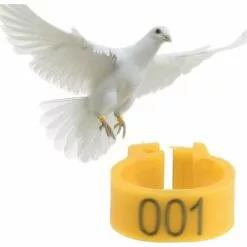 REGALOS 100 Pièces Anneaux De Poule, Anneaux D'Oiseau Anneaux De Pigeon De Volaille En Plastique Pour Poussins Canards (Jaune) -Poulailler et élevage de la basse-cour Soldes Magasin 61660424 5